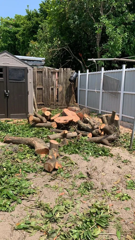 Affordable landscape installation for outdoor upgrades across Miami, FL - Home and Gardens Doctor