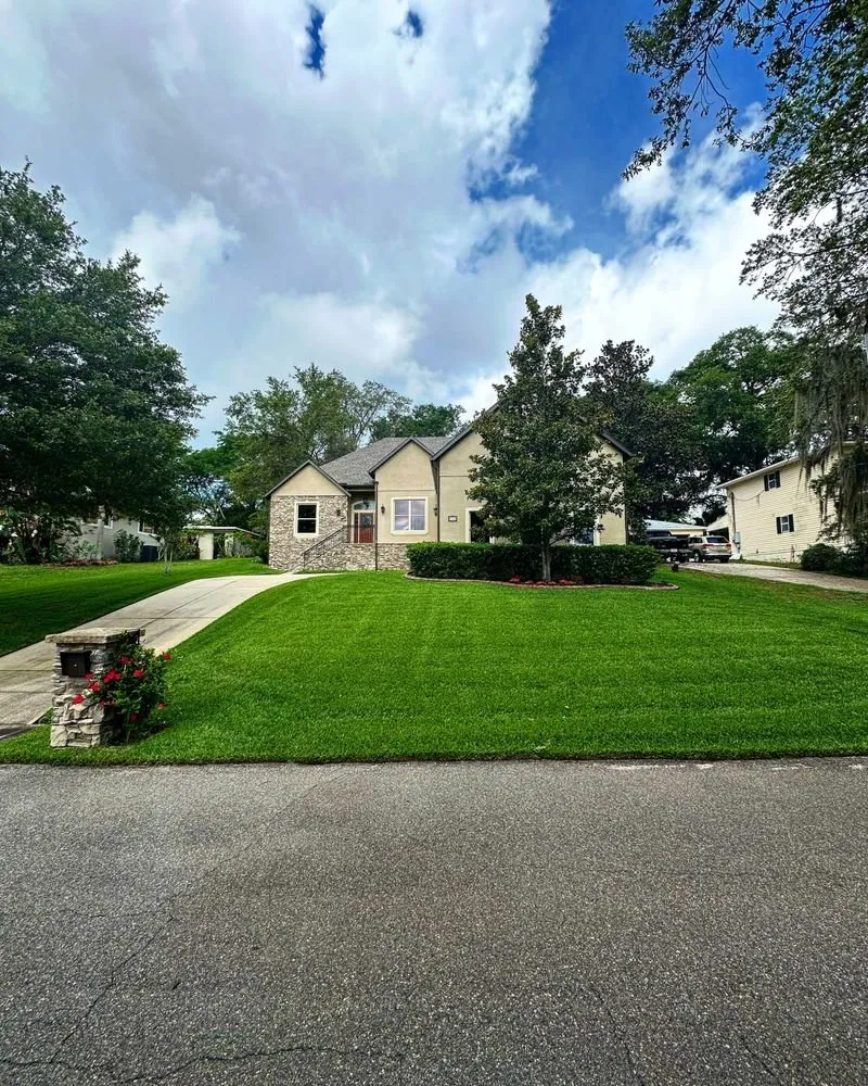 Affordable yard cleanup service experts serving Miami, FL - Home and Gardens Doctor