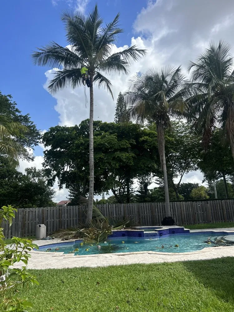 Top-rated yard cleanup service for beautiful yards across Miami, FL - Home and Gardens Doctor