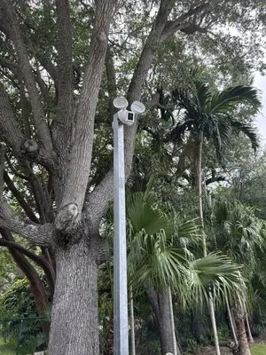 Home and Gardens Doctor