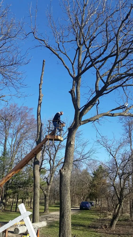 Professional lawn mowing service for outdoor upgrades across Wonder Lake, IL - Home and Land Maintenance