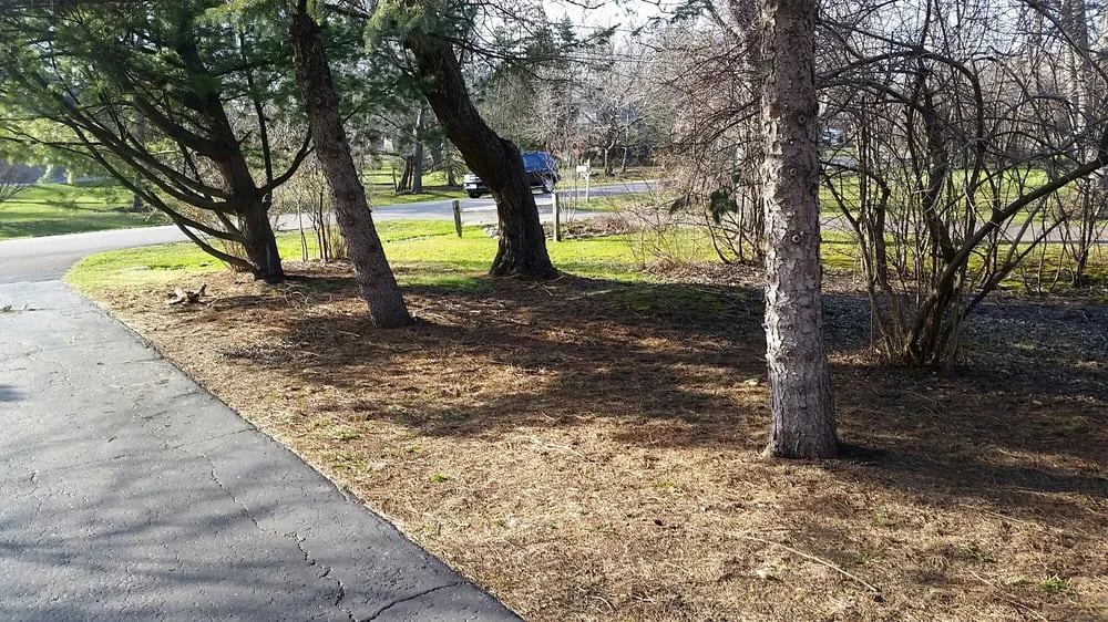 Affordable landscape design for outdoor upgrades in Wonder Lake, IL by Home and Land Maintenance