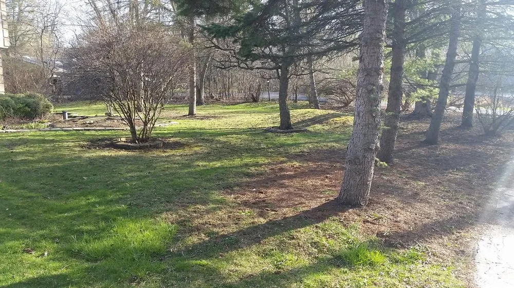 Reliable yard cleanup service for outdoor upgrades across Wonder Lake, IL - Home and Land Maintenance