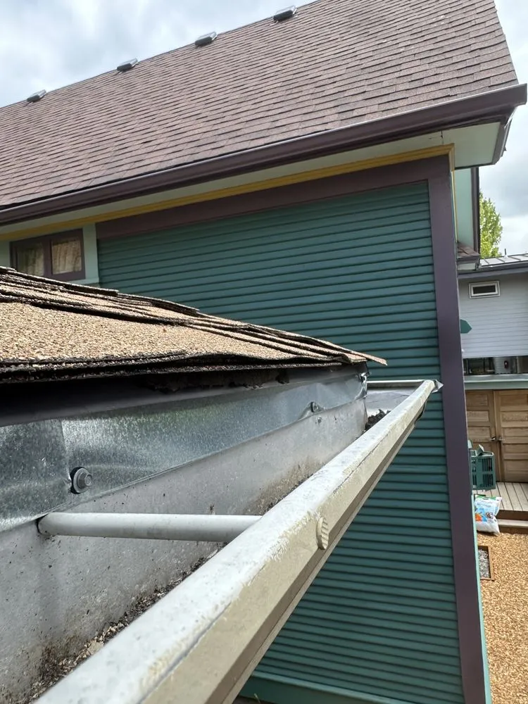 Professional yard cleanup service in Ridgefield, WA by Home and Landscape Maintenance