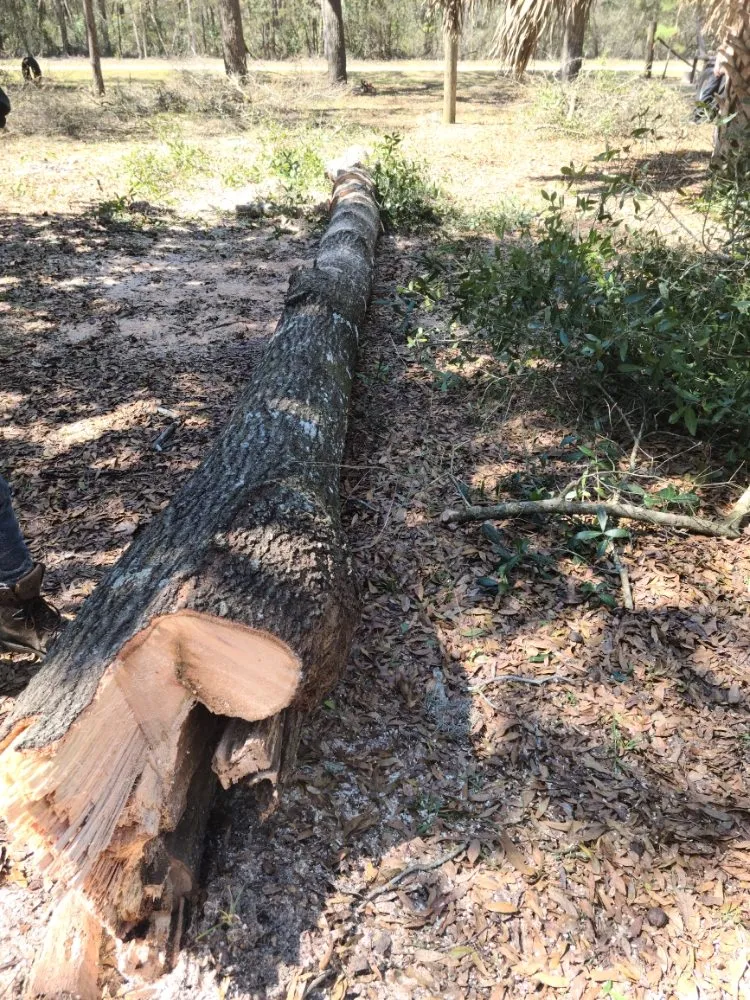 Reliable residential landscaping in Gainesville, FL by Home And Lawn Cares