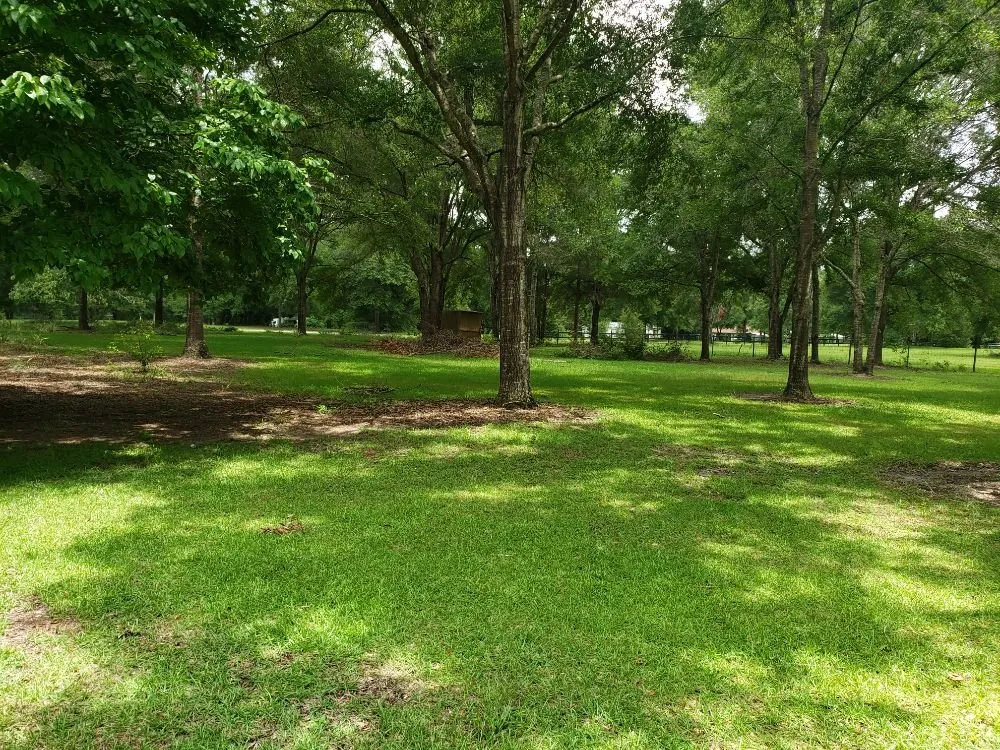 Top-rated garden landscaping experts serving Gainesville, FL - Home And Lawn Cares