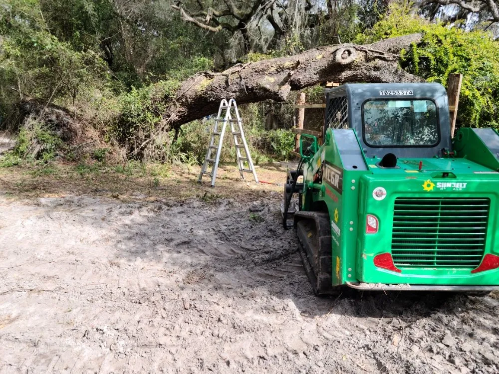 Expert garden landscaping experts serving Gainesville, FL - Home And Lawn Cares