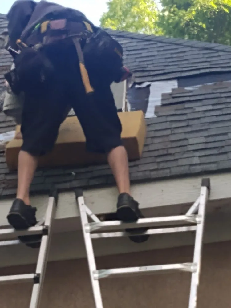 Trusted landscaping services for year-round maintenance across Bonaire, GA - Home And Lawn Maintenance And Repair