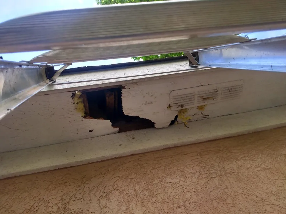 Trusted yard maintenance with custom design across Bonaire, GA - Home And Lawn Maintenance And Repair