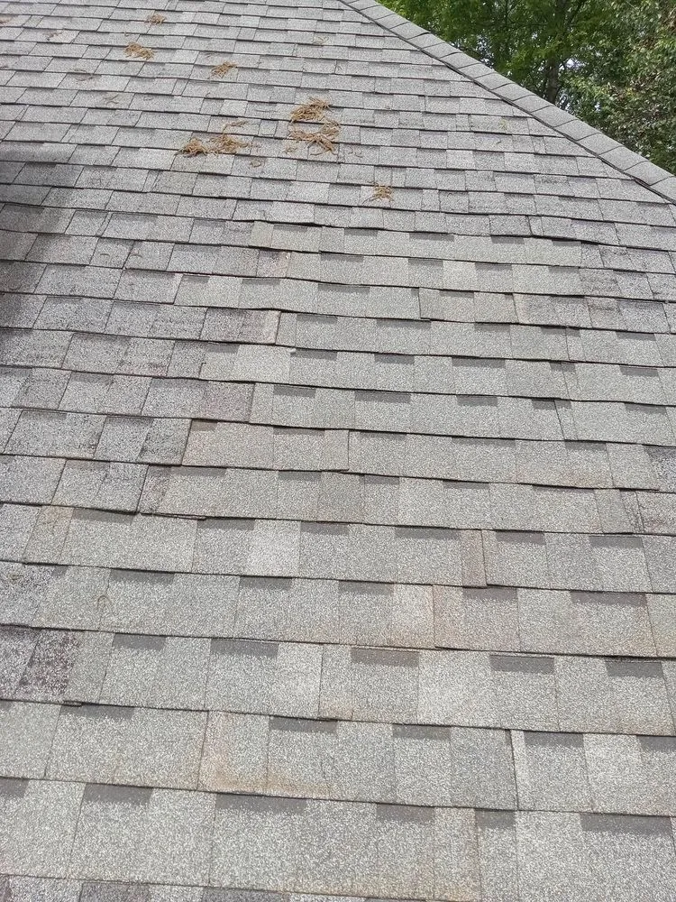 Expert landscaping services near you in Bonaire, GA by Home And Lawn Maintenance And Repair