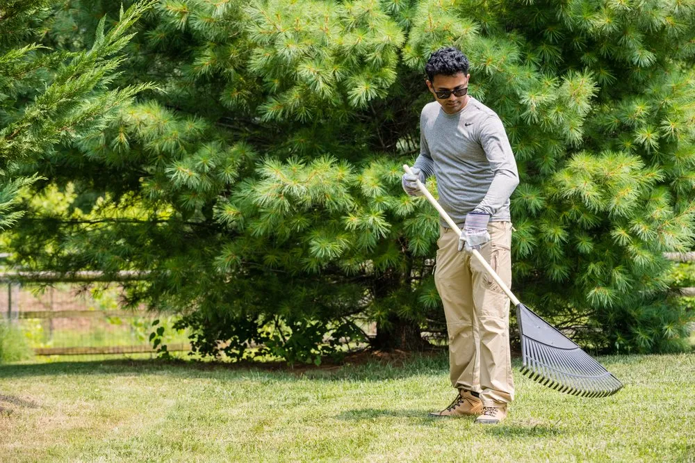 Reliable yard maintenance for homes across Frederick, MD - Home and Lawn Source