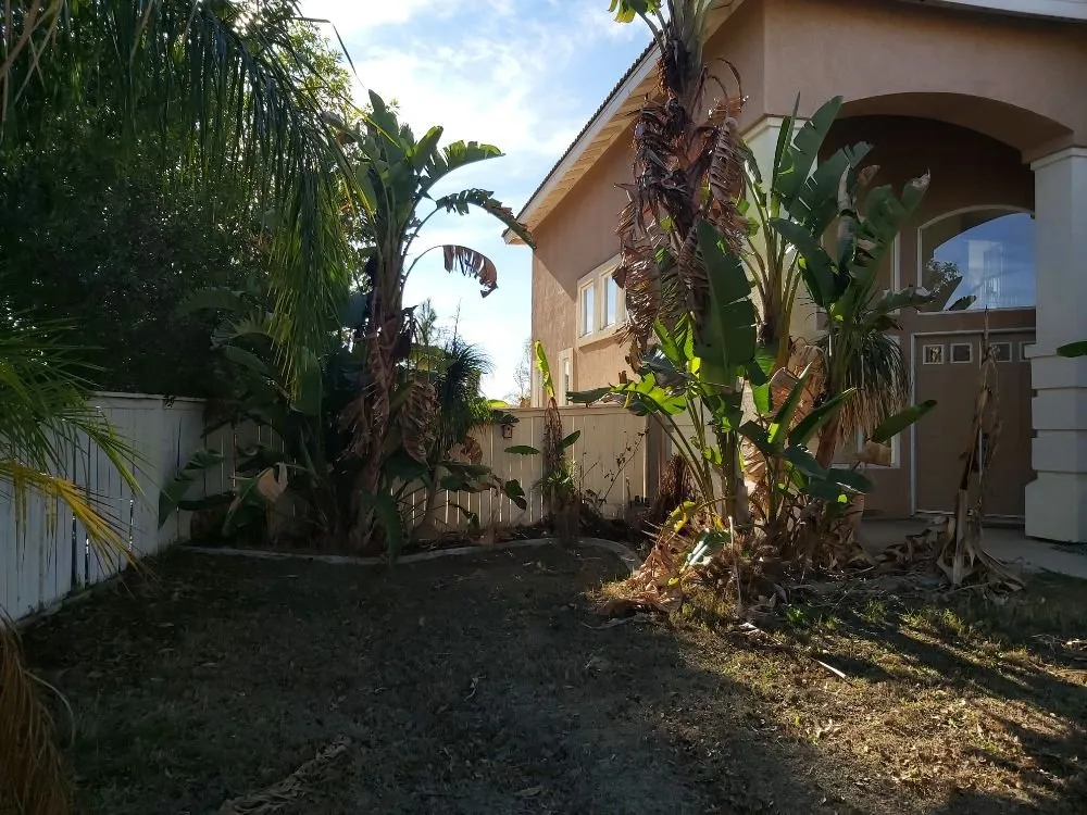 Expert landscaping services for outdoor upgrades in Lake Elsinore, CA by Home and Property Services