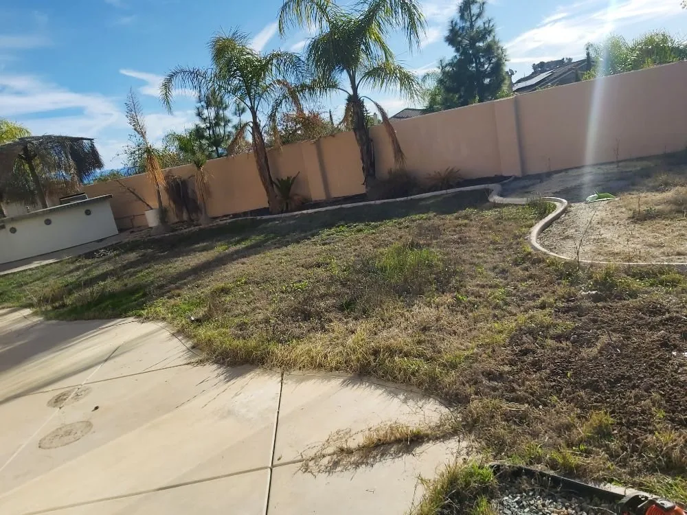 Expert outdoor landscaping for homes across Lake Elsinore, CA - Home and Property Services