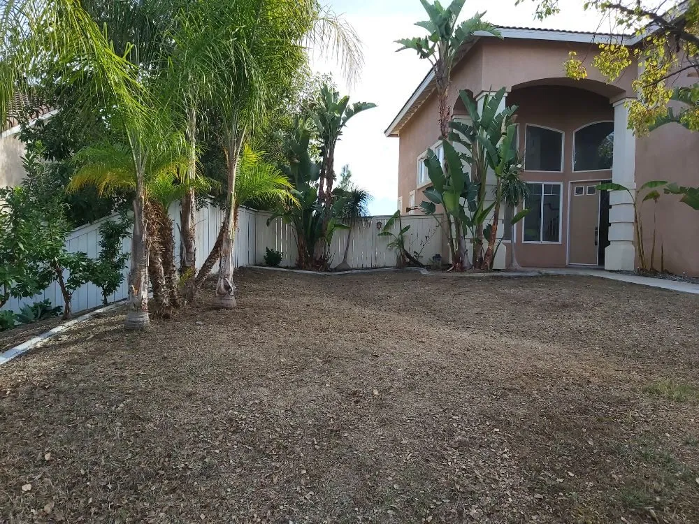 Local yard maintenance in Lake Elsinore, CA by Home and Property Services
