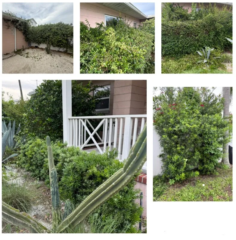 Top-rated landscape installation in Jacksonville, FL by Home Assemble Ease