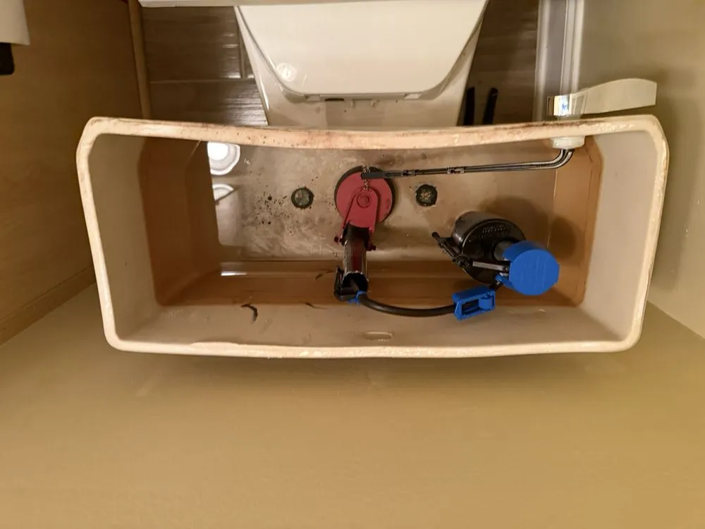 Reliable lawn care service in Jacksonville, FL by Home Assemble Ease