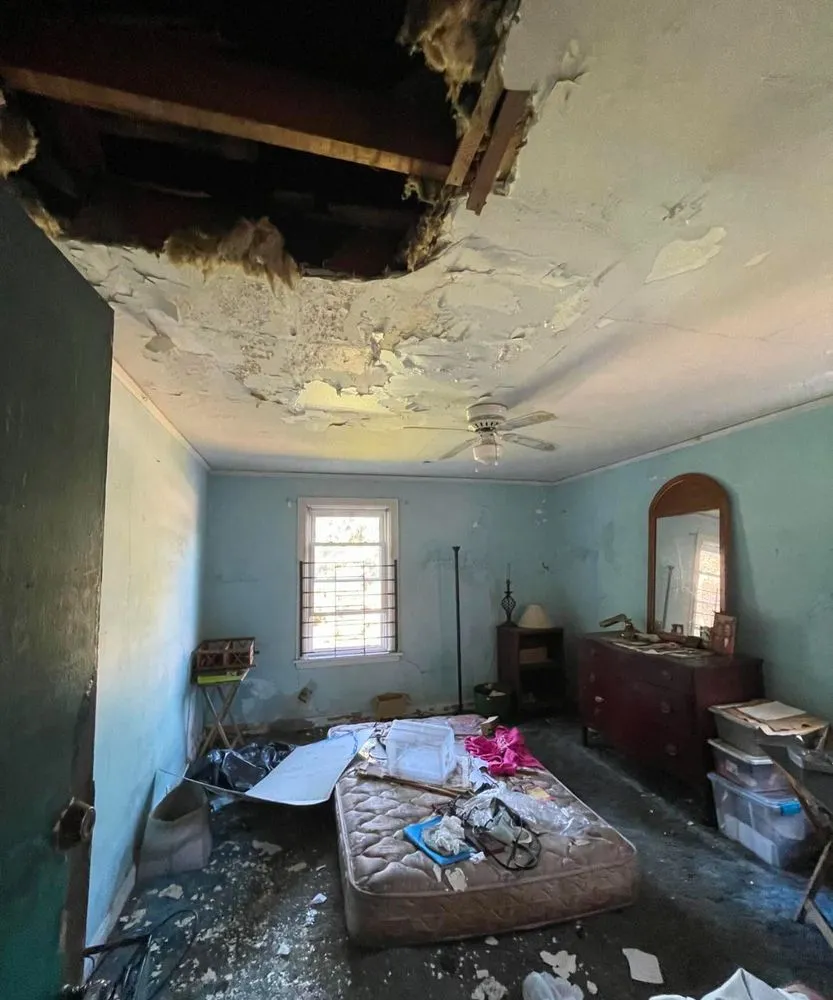 Professional lawn care service experts serving Jacksonville, FL - Home Assemble Ease