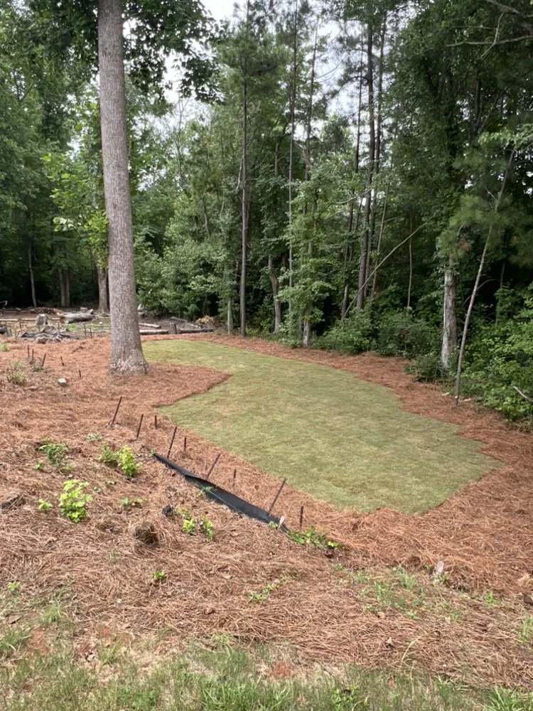 Affordable yard cleanup service for year-round maintenance across Powder Springs, GA - Home Based Land Solutions