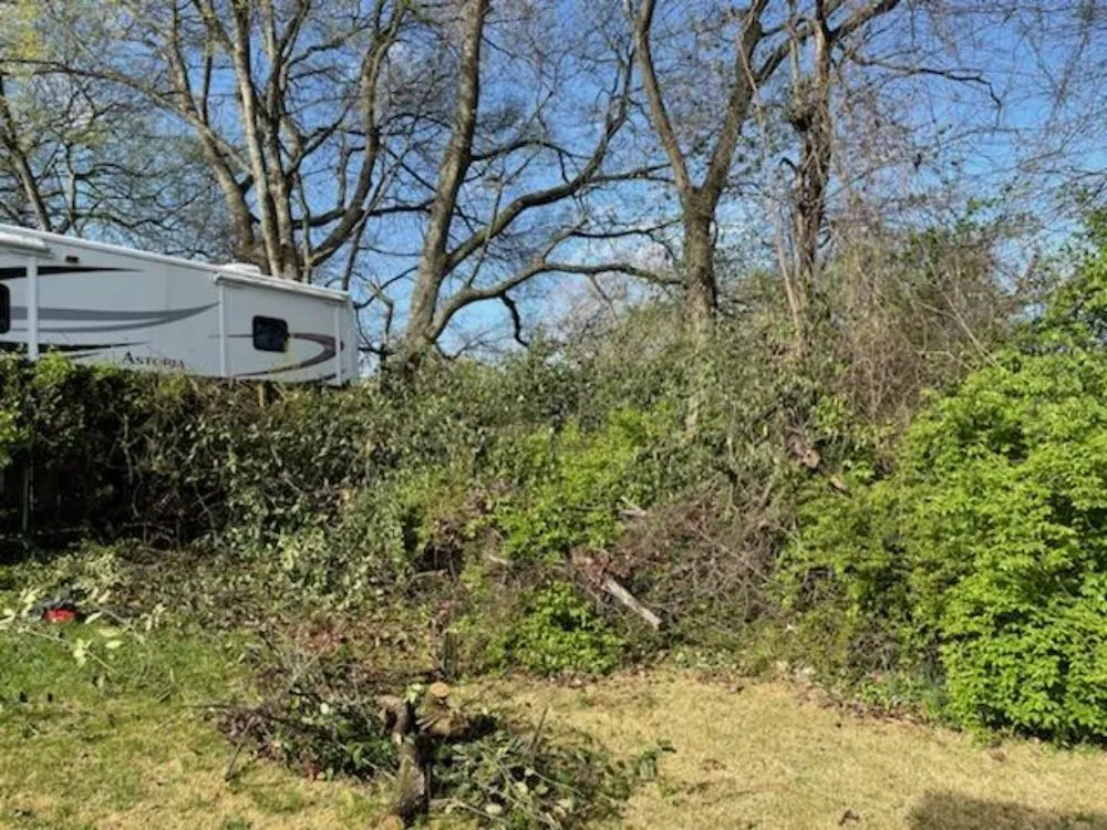 Expert landscape design in Clarksville, TN - Home Bliss