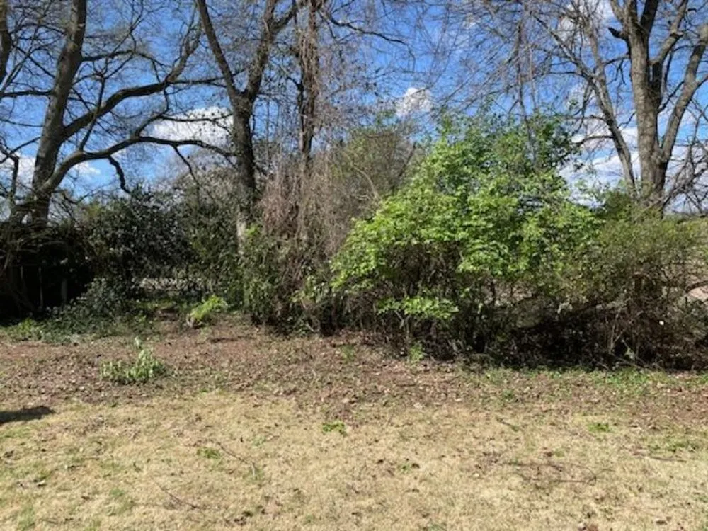 Custom lawn mowing service with custom design across Clarksville, TN - Home Bliss