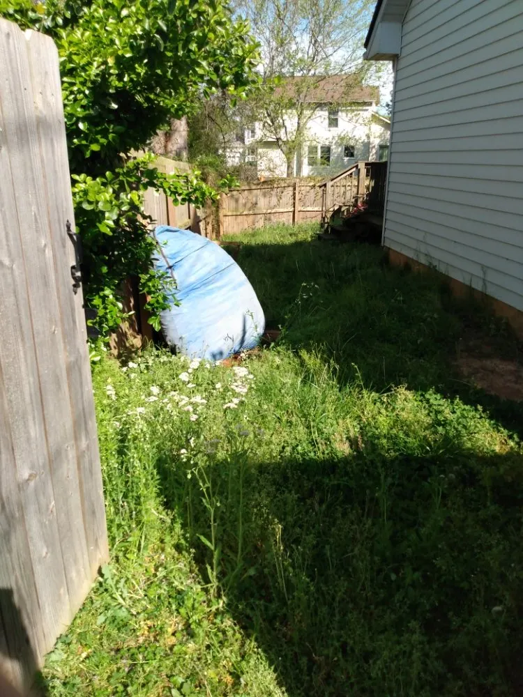 Local landscaping services in Clarksville, TN - Home Bliss