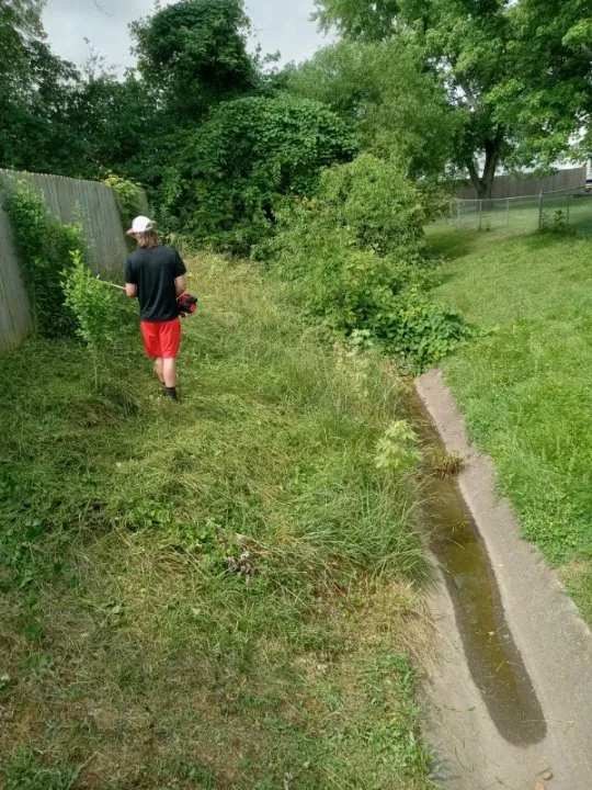 Professional yard cleanup service in Clarksville, TN by Home Bliss