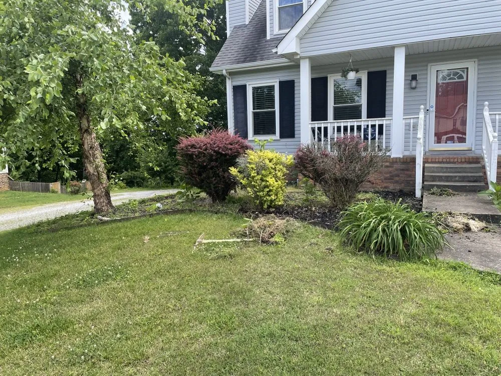 Professional landscaping services in Clarksville, TN by Home Bliss