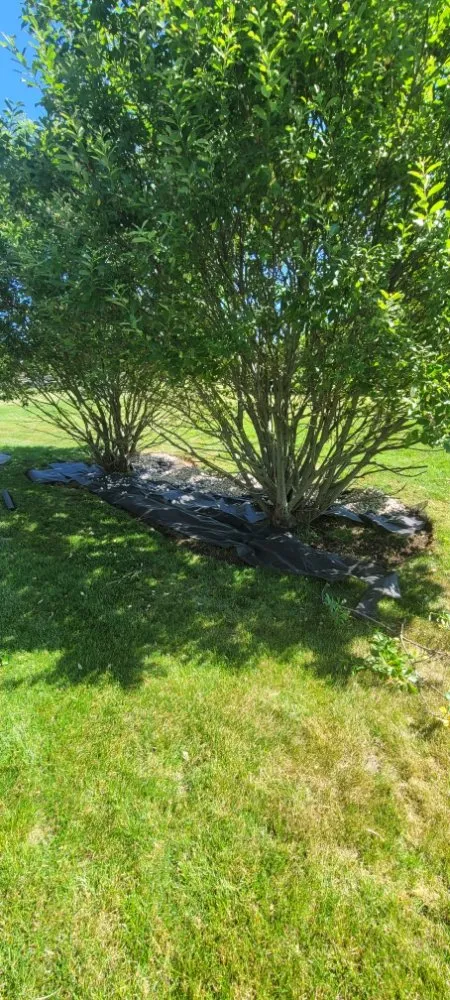 Professional outdoor landscaping in Genoa City, WI - Home Care Solutions