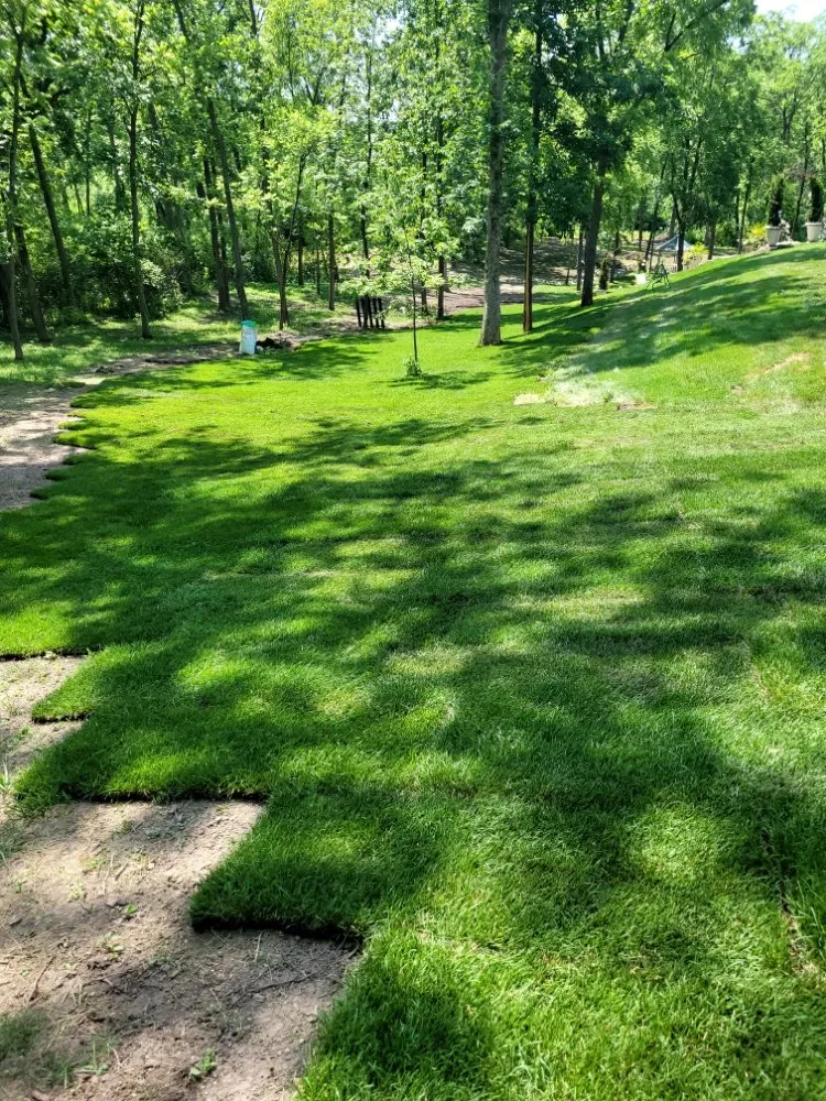 Reliable landscaping services for outdoor upgrades across Genoa City, WI - Home Care Solutions