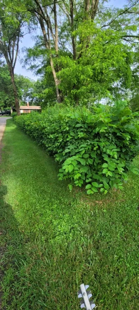 Reliable outdoor landscaping in Genoa City, WI by Home Care Solutions