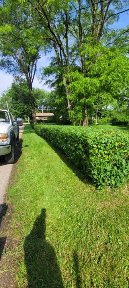 Trusted outdoor landscaping for outdoor upgrades in Genoa City, WI by Home Care Solutions