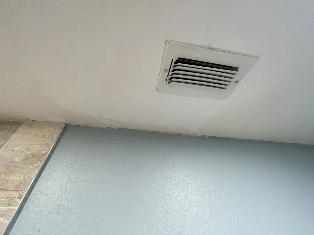 Reliable landscaping services for residential properties across Harlingen, TX - Home Connect