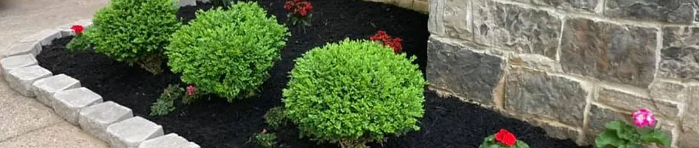 Expert landscaping services in Paragould, AR - Home Decor Revamp