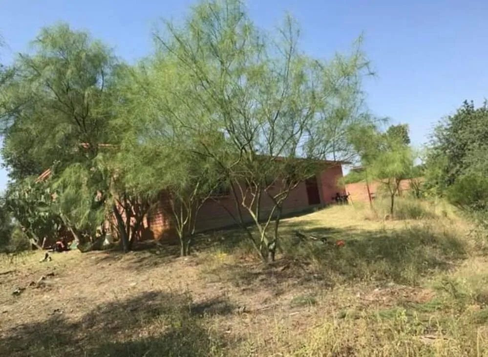 Professional landscaping services in Tucson, AZ - Home Detail