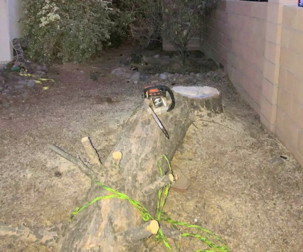 Affordable outdoor landscaping experts serving Tucson, AZ - Home Detail