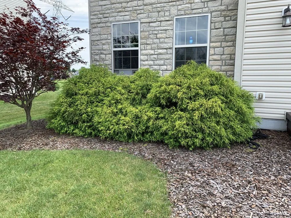 Custom yard cleanup service experts serving Plain City, OH - Home Field Advantage Lawncare