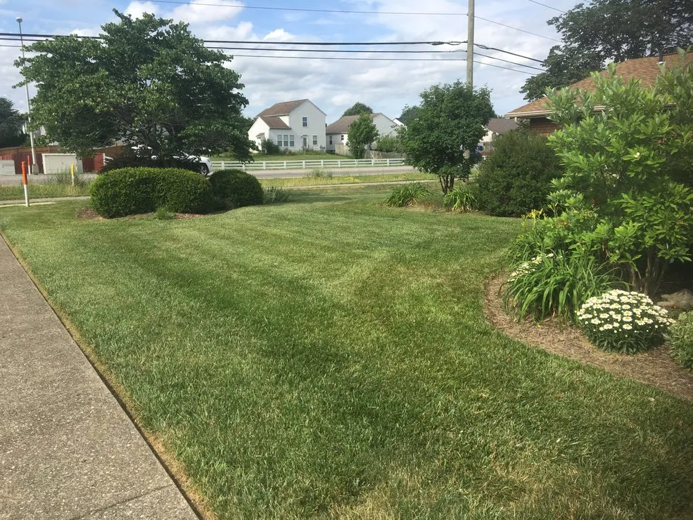 Reliable outdoor landscaping for year-round maintenance in Plain City, OH by Home Field Advantage Lawncare