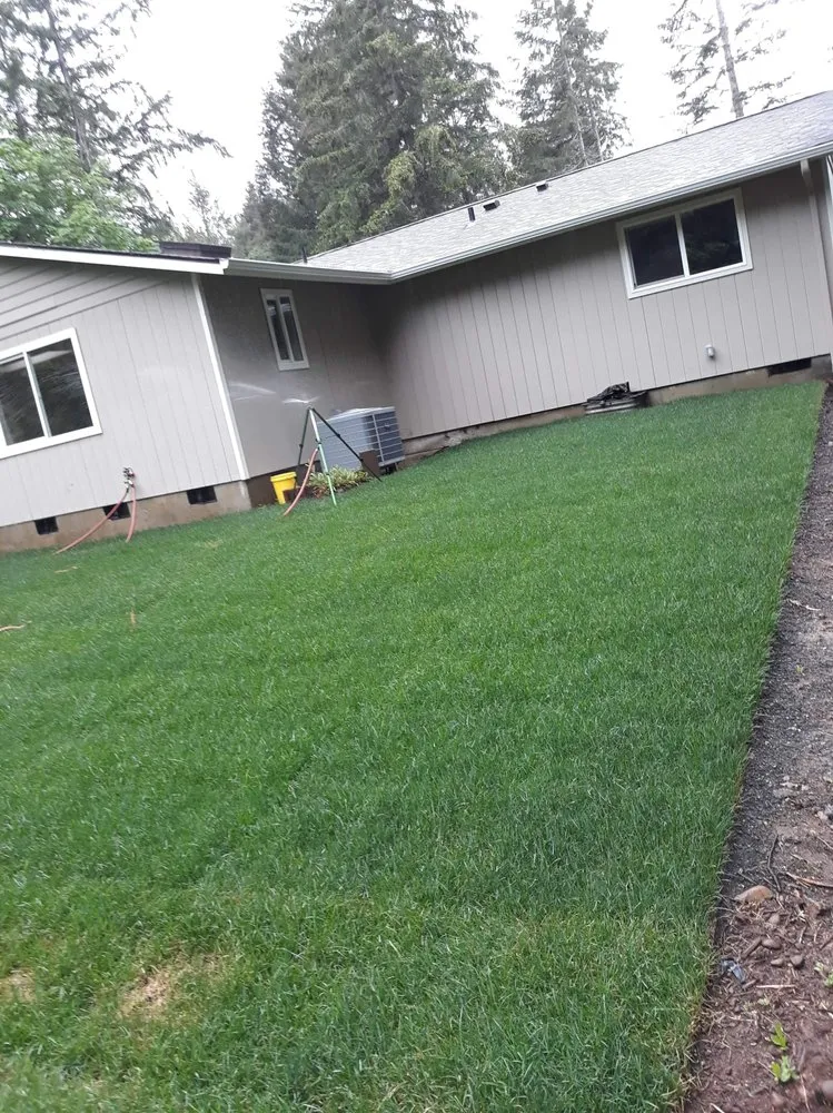 Affordable yard cleanup service in Shelton, WA - Home Garden Landscaping