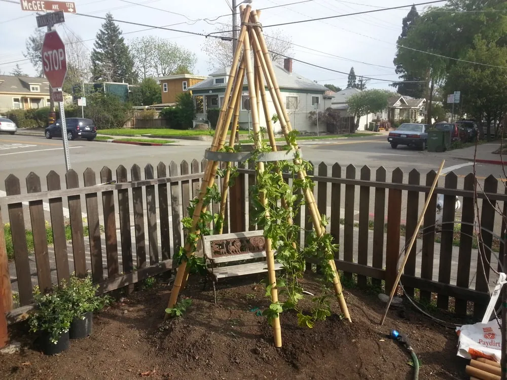 Affordable landscape design near you in Berkeley, CA by Home Grown Gardens