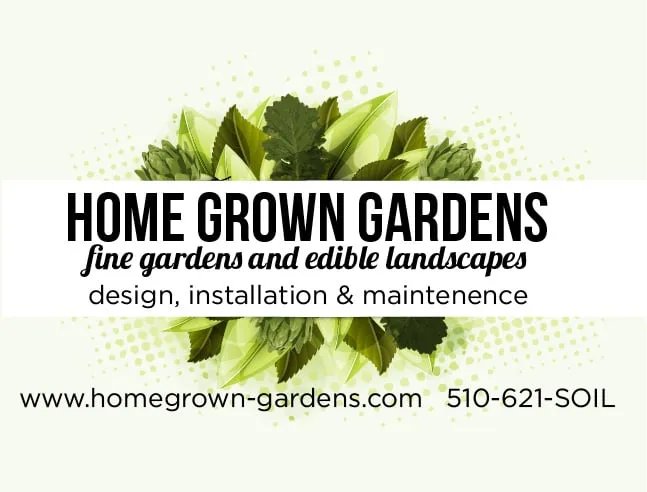 Affordable landscape installation near you across Berkeley, CA - Home Grown Gardens