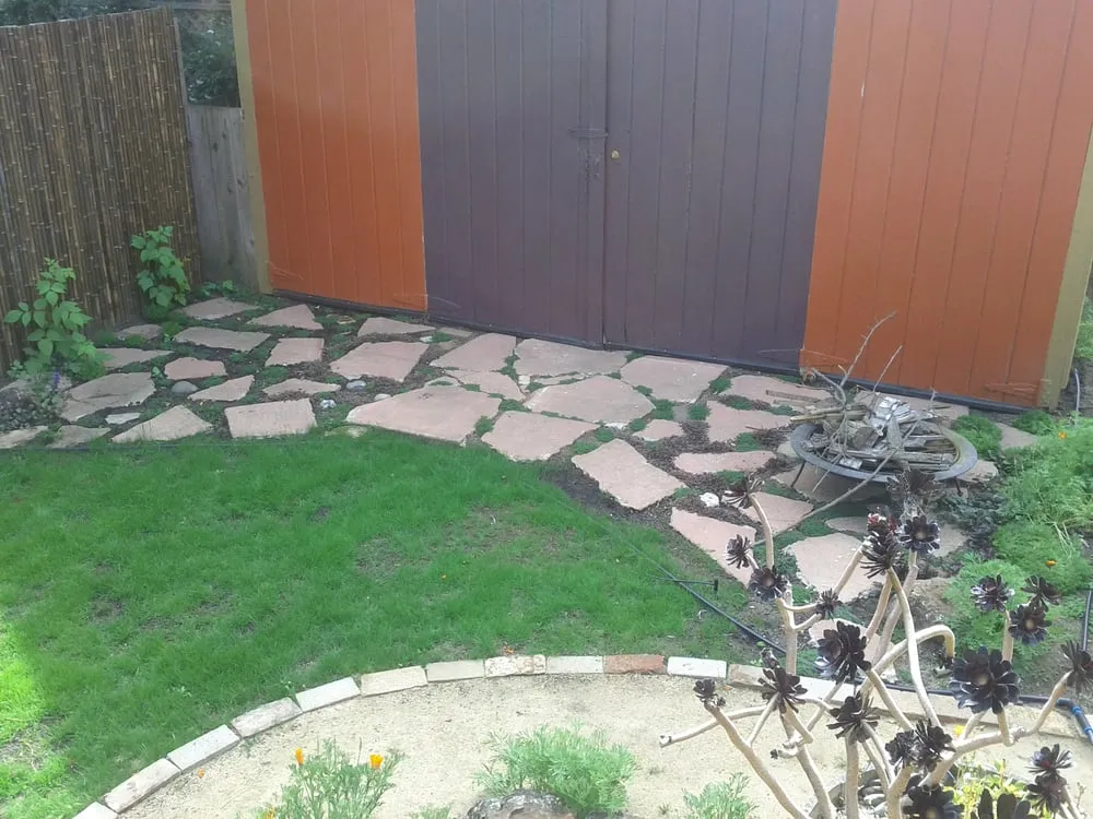 Affordable yard cleanup service near you in Berkeley, CA by Home Grown Gardens