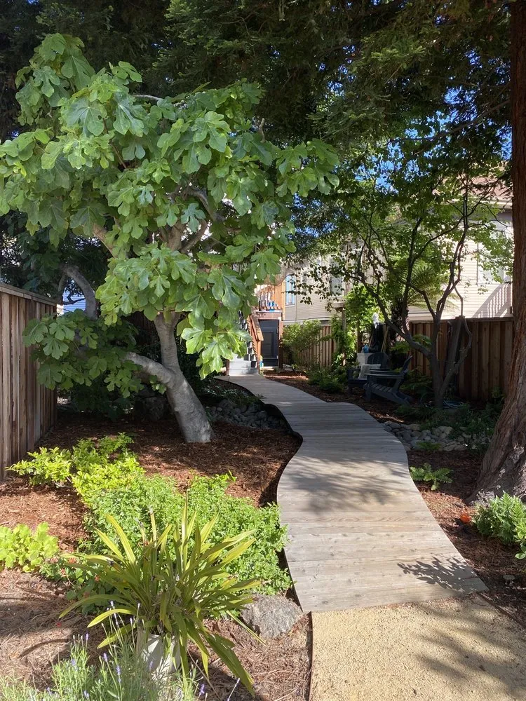 Custom lawn care service for homes across Berkeley, CA - Home Grown Gardens