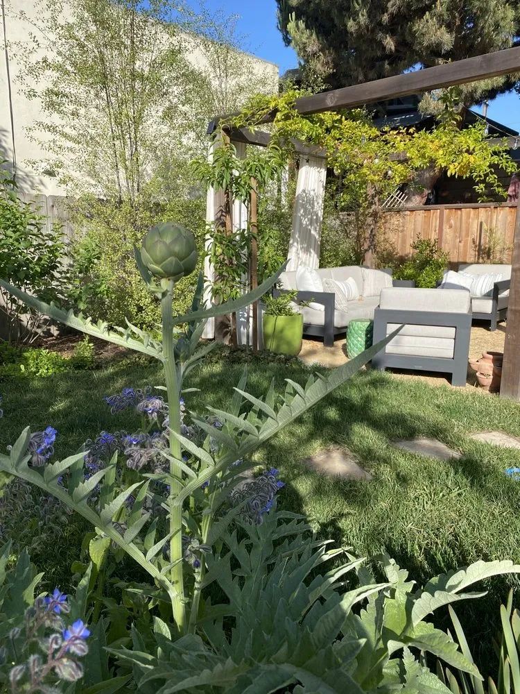 Expert garden landscaping for homes in Berkeley, CA by Home Grown Gardens
