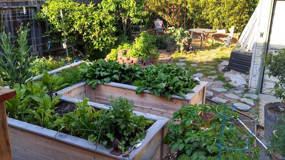 Trusted landscape installation for residential properties across Berkeley, CA - Home Grown Gardens