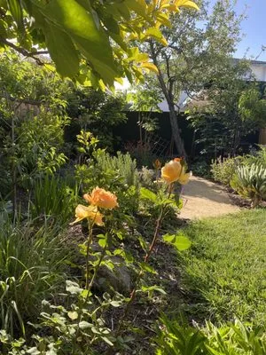 Home Grown Gardens Logo