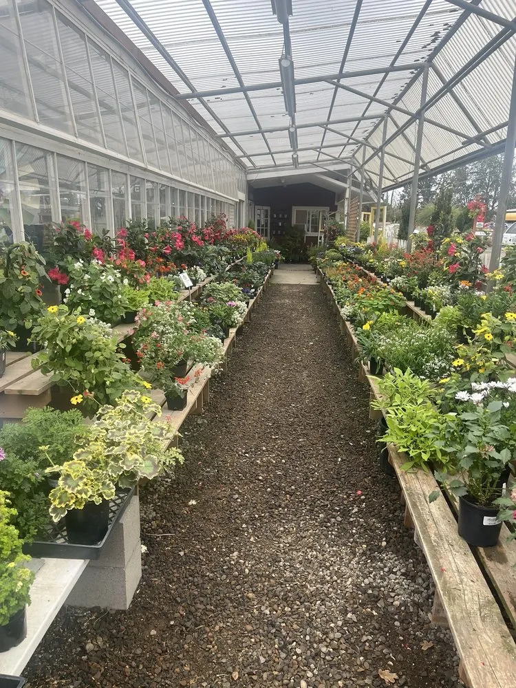 Reliable lawn care service for year-round maintenance in Corvallis, OR by Home Grown Gardens