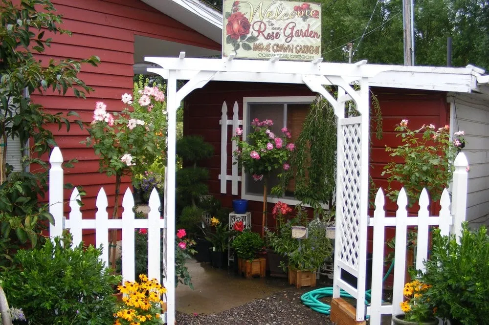 Professional yard cleanup service for year-round maintenance in Corvallis, OR by Home Grown Gardens