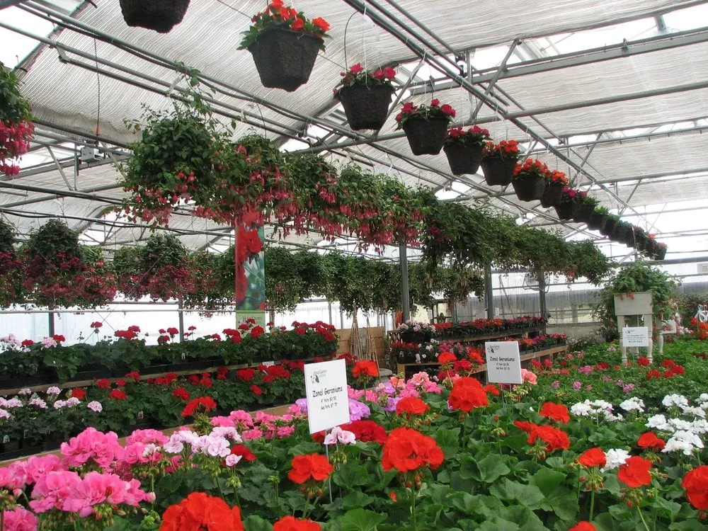 Professional garden landscaping for residential properties in Corvallis, OR by Home Grown Gardens