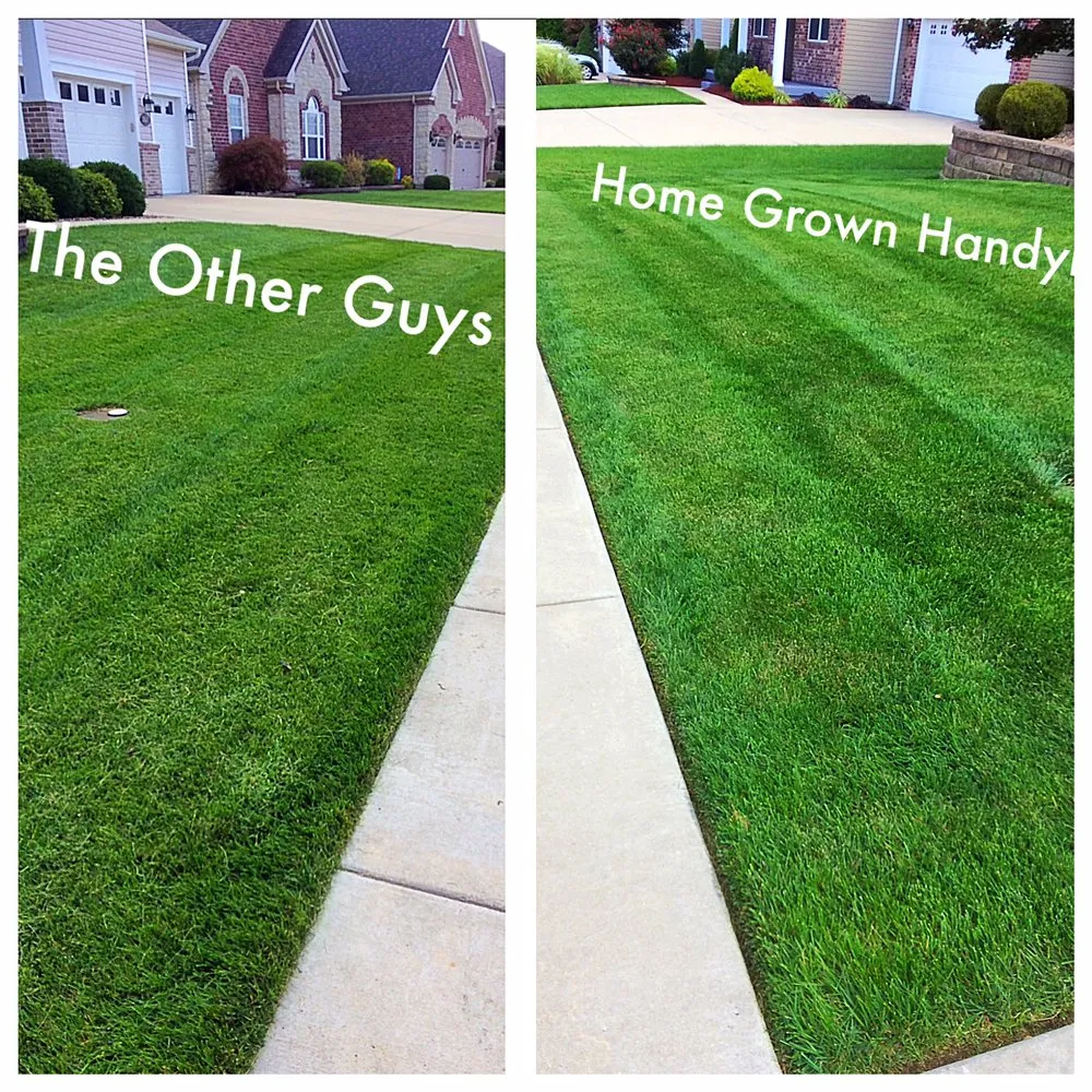 Affordable yard cleanup service in Saint Peters, MO - Home Grown Handyman