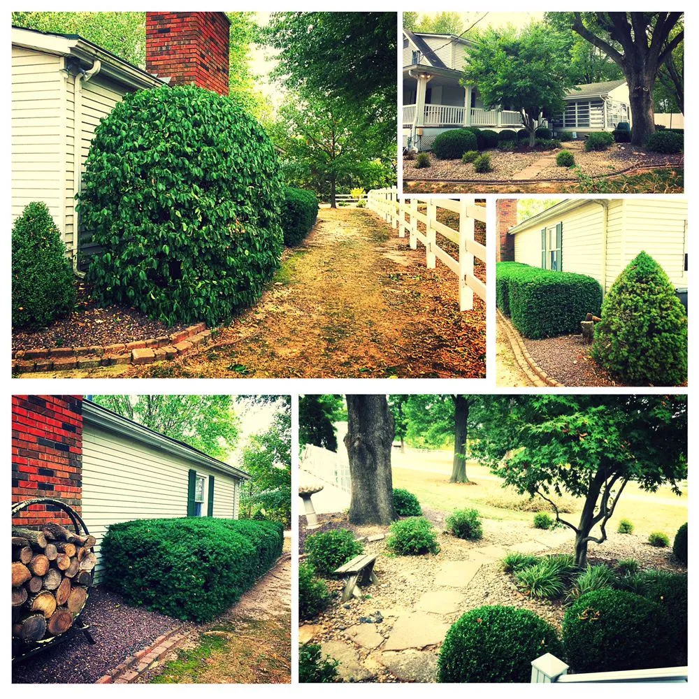 Reliable landscape installation in Saint Peters, MO by Home Grown Handyman